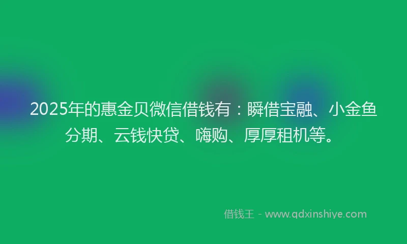 2025年的惠金贝微信借钱有：瞬借宝融、小金鱼分期、云钱快贷、嗨购、厚厚租机等。