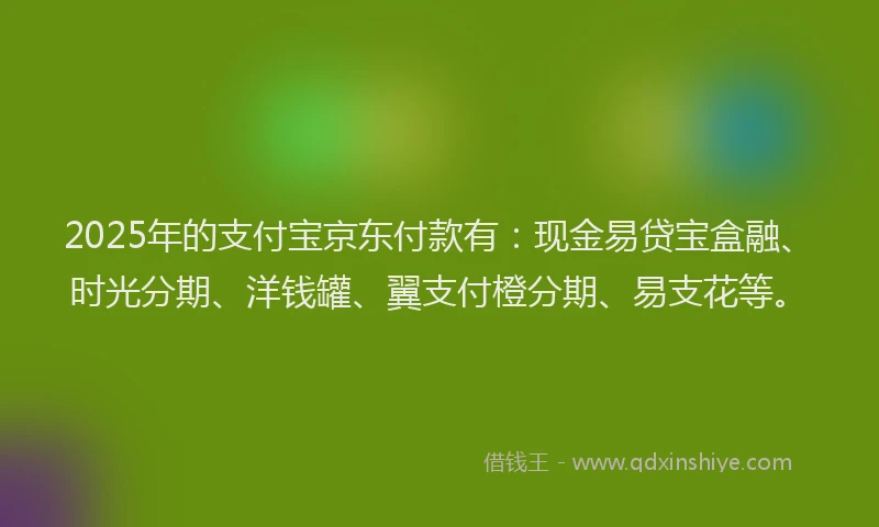 2025年的支付宝京东付款有：现金易贷宝盒融、时光分期、洋钱罐、翼支付橙分期、易支花等。