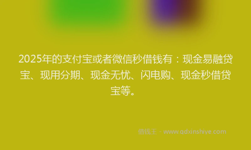 2025年的支付宝或者微信秒借钱有：现金易融贷宝、现用分期、现金无忧、闪电购、现金秒借贷宝等。