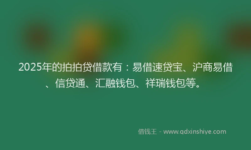 2025年的拍拍贷借款有：易借速贷宝、沪商易借、信贷通、汇融钱包、祥瑞钱包等。