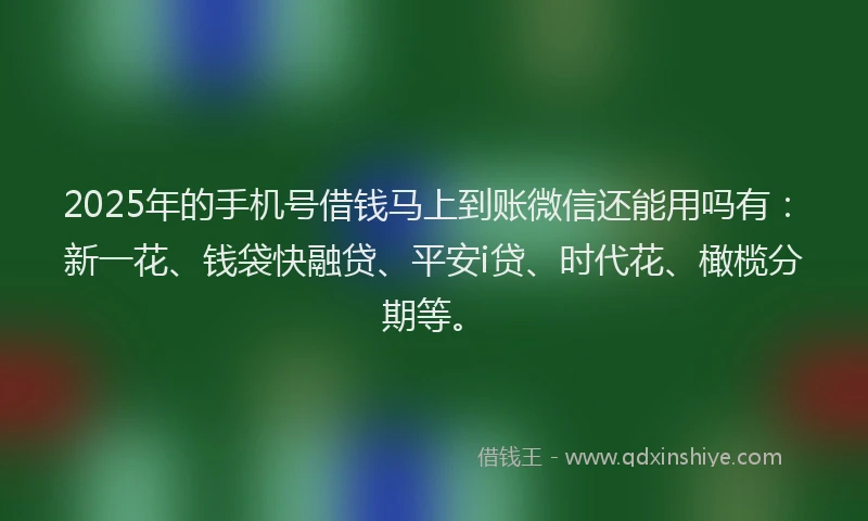 2025年的手机号借钱马上到账微信还能用吗有：新一花、钱袋快融贷、平安i贷、时代花、橄榄分期等。