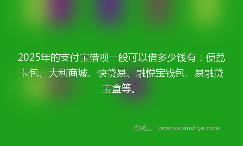 2025年的支付宝借呗一般可以借多少钱有：便荔卡包、大利商城、快贷易、融悦宝钱包、易融贷宝盒等。