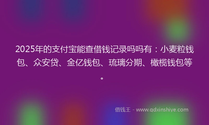 2025年的支付宝能查借钱记录吗吗有：小麦粒钱包、众安贷、金亿钱包、琉璃分期、橄榄钱包等。