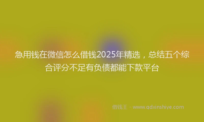 急用钱在微信怎么借钱2025年精选，总结五个综合评分不足有负债都能下款平台