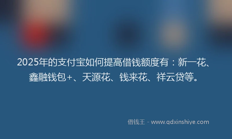 2025年的支付宝如何提高借钱额度有：新一花、鑫融钱包+、天源花、钱来花、祥云贷等。