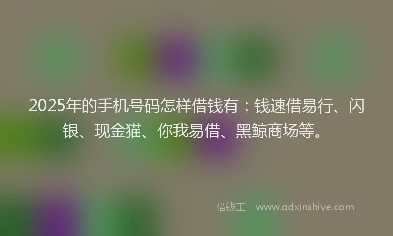 2025年的手机号码怎样借钱有：钱速借易行、闪银、现金猫、你我易借、黑鲸商场等。