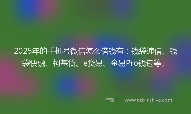 2025年的手机号微信怎么借钱有：钱袋速借、钱袋快融、柯基贷、e贷易、金易Pro钱包等。