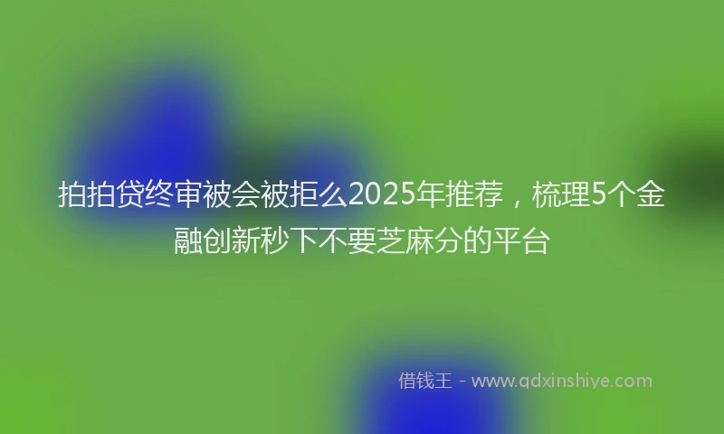 拍拍贷终审被会被拒么2025年推荐，梳理5个金融创新秒下不要芝麻分的平台