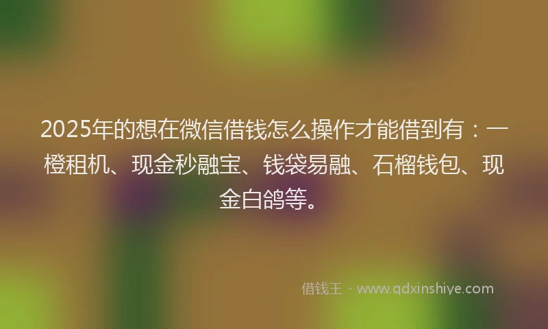 2025年的想在微信借钱怎么操作才能借到有：一橙租机、现金秒融宝、钱袋易融、石榴钱包、现金白鸽等。
