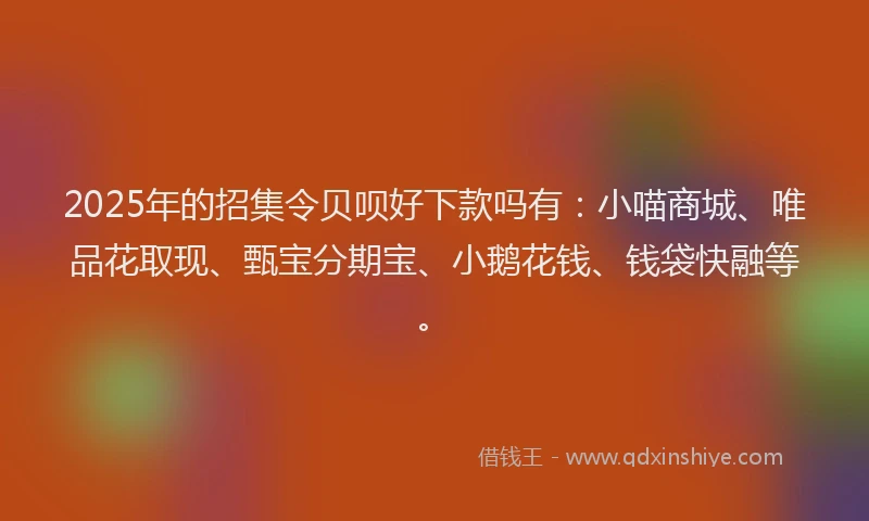 2025年的招集令贝呗好下款吗有：小喵商城、唯品花取现、甄宝分期宝、小鹅花钱、钱袋快融等。