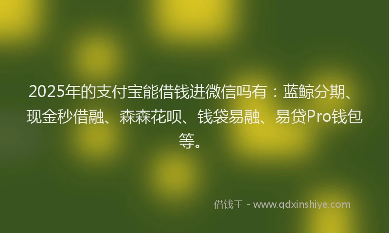 2025年的支付宝能借钱进微信吗有：蓝鲸分期、现金秒借融、森森花呗、钱袋易融、易贷Pro钱包等。
