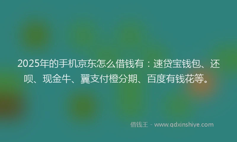 2025年的手机京东怎么借钱有：速贷宝钱包、还呗、现金牛、翼支付橙分期、百度有钱花等。