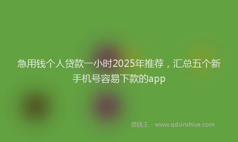 急用钱个人贷款一小时2025年推荐，汇总五个新手机号容易下款的app