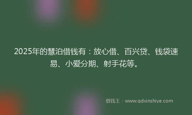 2025年的慧泊借钱有：放心借、百兴贷、钱袋速易、小爱分期、射手花等。
