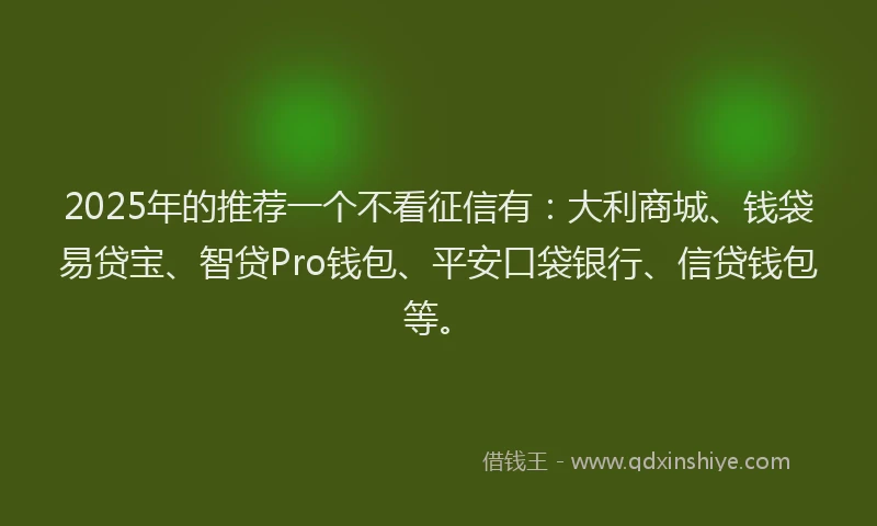 2025年的推荐一个不看征信有：大利商城、钱袋易贷宝、智贷Pro钱包、平安口袋银行、信贷钱包等。