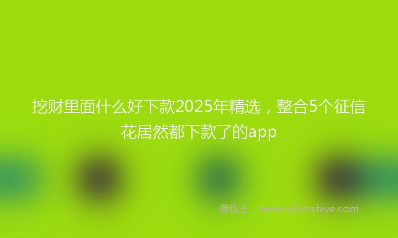 挖财里面什么好下款2025年精选，整合5个征信花居然都下款了的app