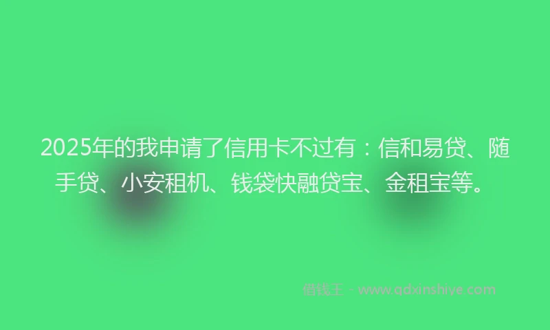 2025年的我申请了信用卡不过有：信和易贷、随手贷、小安租机、钱袋快融贷宝、金租宝等。