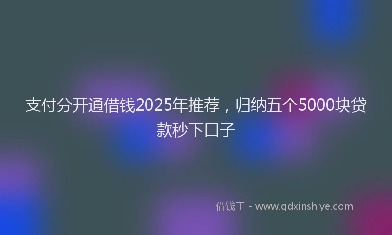 支付分开通借钱2025年推荐，归纳五个5000块贷款秒下口子
