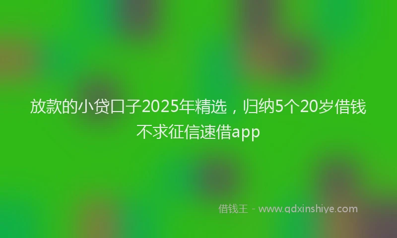 放款的小贷口子2025年精选，归纳5个20岁借钱不求征信速借app