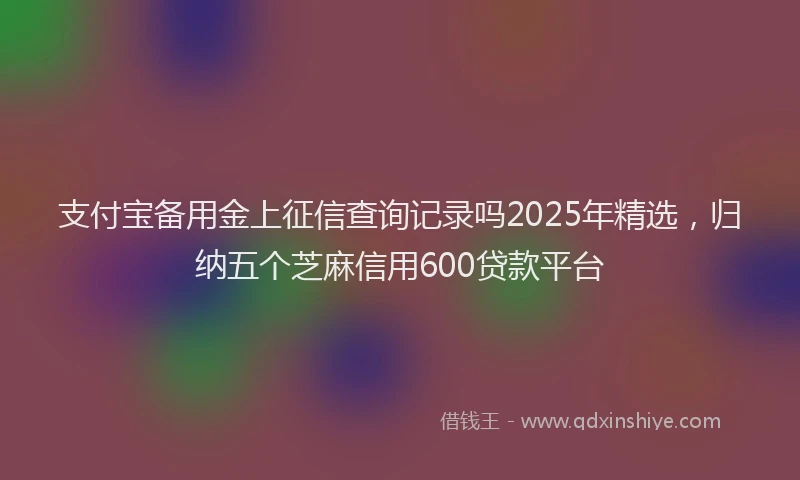 支付宝备用金上征信查询记录吗2025年精选，归纳五个芝麻信用600贷款平台