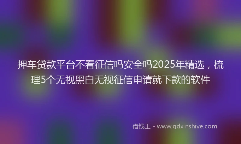 押车贷款平台不看征信吗安全吗2025年精选，梳理5个无视黑白无视征信申请就下款的软件