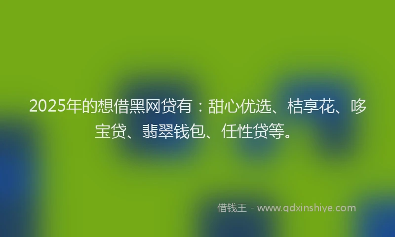 2025年的想借黑网贷有：甜心优选、桔享花、哆宝贷、翡翠钱包、任性贷等。