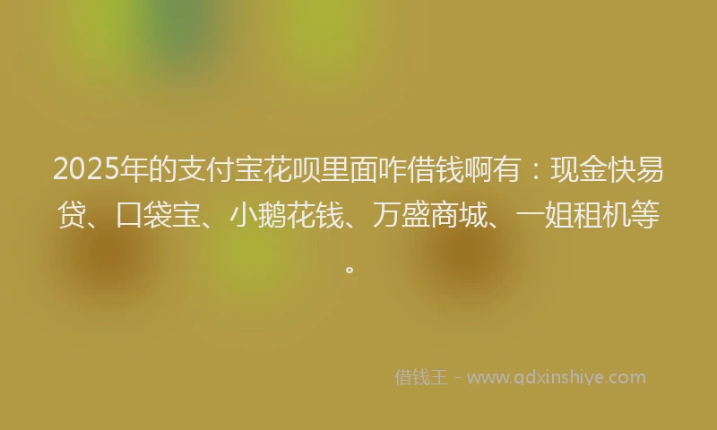 2025年的支付宝花呗里面咋借钱啊有：现金快易贷、口袋宝、小鹅花钱、万盛商城、一姐租机等。