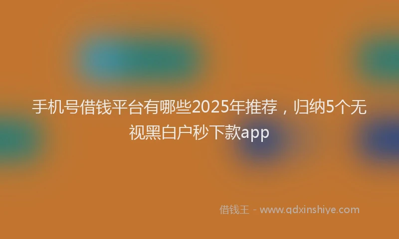 手机号借钱平台有哪些2025年推荐，归纳5个无视黑白户秒下款app