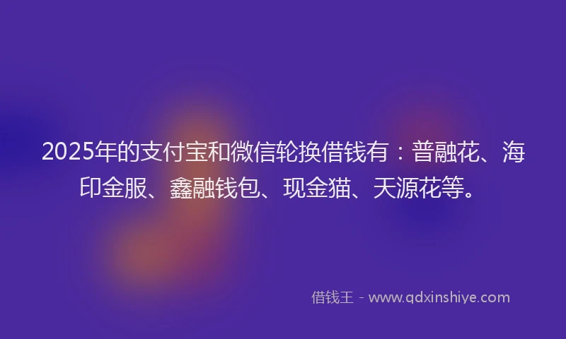 2025年的支付宝和微信轮换借钱有：普融花、海印金服、鑫融钱包、现金猫、天源花等。