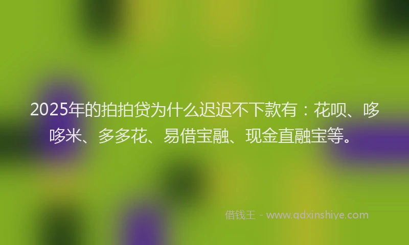 2025年的拍拍贷为什么迟迟不下款有：花呗、哆哆米、多多花、易借宝融、现金直融宝等。