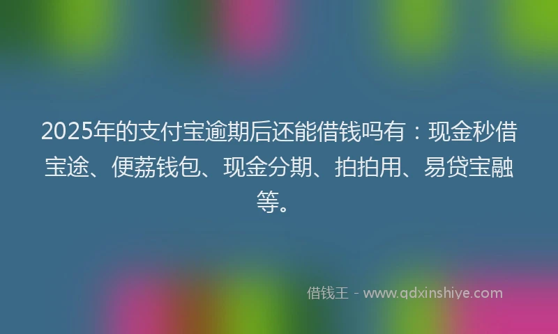 2025年的支付宝逾期后还能借钱吗有：现金秒借宝途、便荔钱包、现金分期、拍拍用、易贷宝融等。
