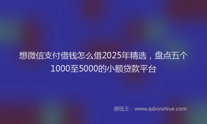 想微信支付借钱怎么借2025年精选，盘点五个1000至5000的小额贷款平台