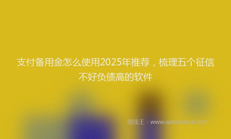 支付备用金怎么使用2025年推荐，梳理五个征信不好负债高的软件