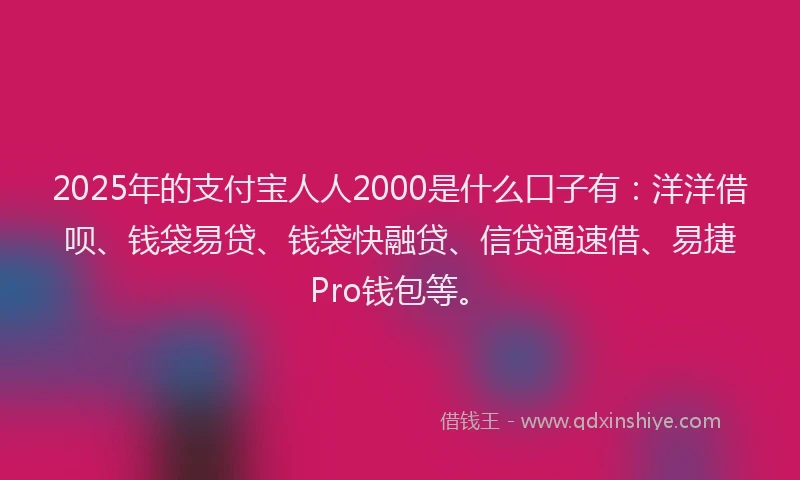 2025年的支付宝人人2000是什么口子有：洋洋借呗、钱袋易贷、钱袋快融贷、信贷通速借、易捷Pro钱包等。