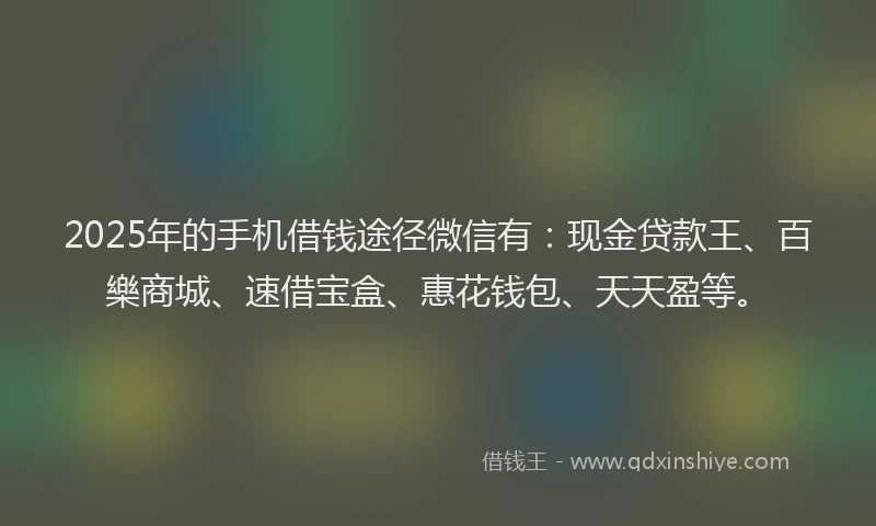 2025年的手机借钱途径微信有：现金贷款王、百樂商城、速借宝盒、惠花钱包、天天盈等。
