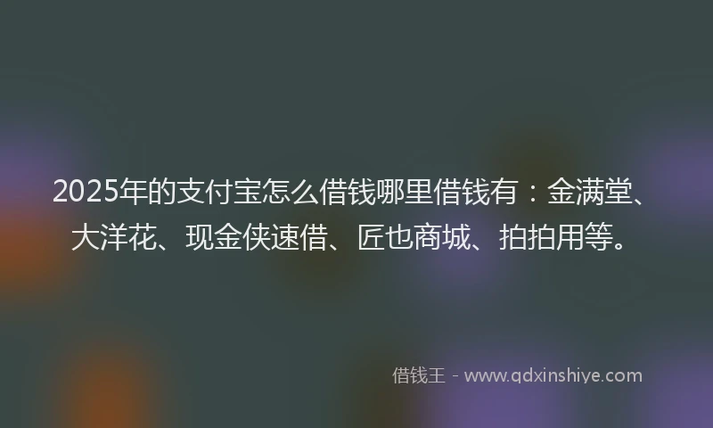 2025年的支付宝怎么借钱哪里借钱有：金满堂、大洋花、现金侠速借、匠也商城、拍拍用等。