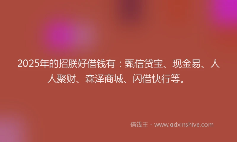 2025年的招朕好借钱有：甄信贷宝、现金易、人人聚财、森泽商城、闪借快行等。