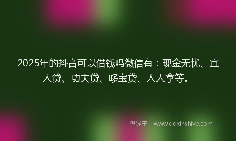 2025年的抖音可以借钱吗微信有：现金无忧、宜人贷、功夫贷、哆宝贷、人人拿等。