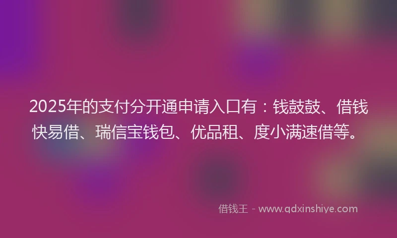 2025年的支付分开通申请入口有：钱鼓鼓、借钱快易借、瑞信宝钱包、优品租、度小满速借等。