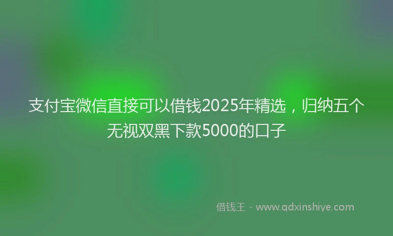 支付宝微信直接可以借钱2025年精选，归纳五个无视双黑下款5000的口子
