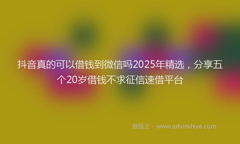 抖音真的可以借钱到微信吗2025年精选，分享五个20岁借钱不求征信速借平台