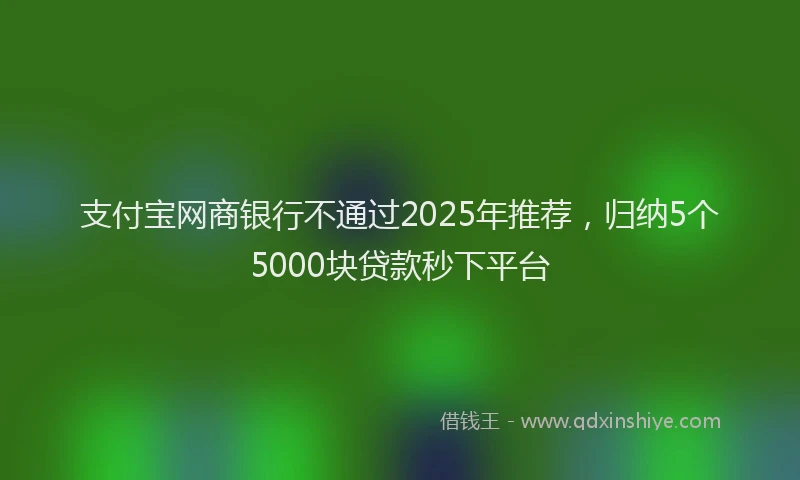支付宝网商银行不通过2025年推荐，归纳5个5000块贷款秒下平台
