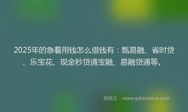 2025年的急着用钱怎么借钱有：甄易融、省时贷、乐宝花、现金秒贷通宝融、易融贷通等。