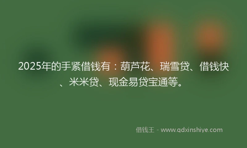2025年的手紧借钱有：葫芦花、瑞雪贷、借钱快、米米贷、现金易贷宝通等。