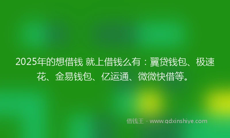 2025年的想借钱 就上借钱么有：翼贷钱包、极速花、金易钱包、亿运通、微微快借等。