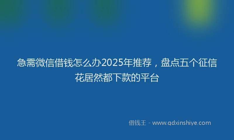 急需微信借钱怎么办2025年推荐，盘点五个征信花居然都下款的平台
