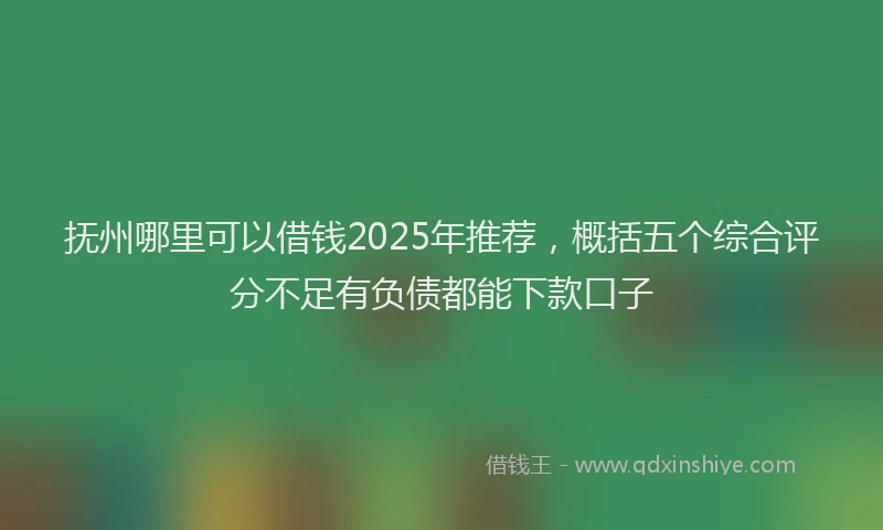 抚州哪里可以借钱2025年推荐，概括五个综合评分不足有负债都能下款口子
