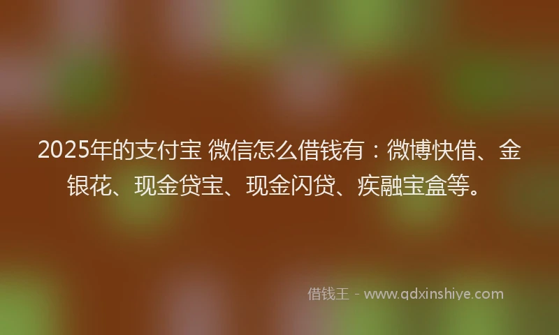 2025年的支付宝 微信怎么借钱有：微博快借、金银花、现金贷宝、现金闪贷、疾融宝盒等。