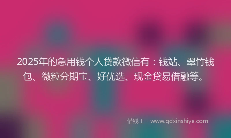 2025年的急用钱个人贷款微信有：钱站、翠竹钱包、微粒分期宝、好优选、现金贷易借融等。