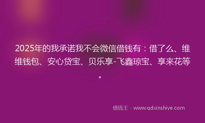 2025年的我承诺我不会微信借钱有：借了么、维维钱包、安心贷宝、贝乐享-飞鑫琼宝、享来花等。